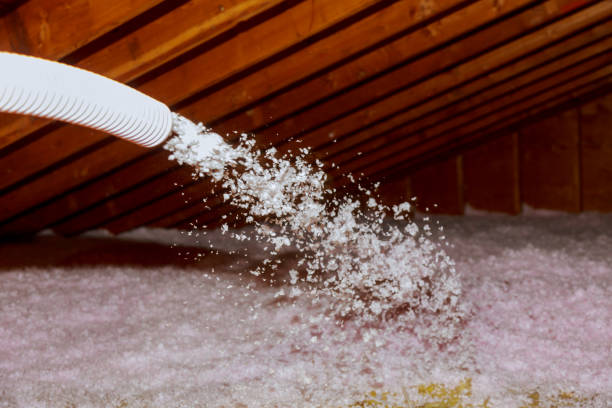 Best Insulation Materials and Products in Forreston, IL