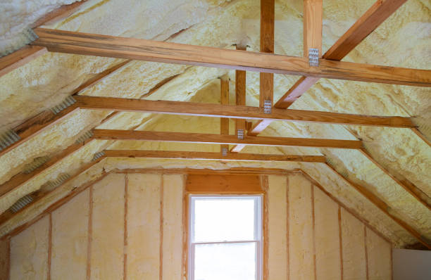 Best Insulation Maintenance and Repair in Forreston, IL