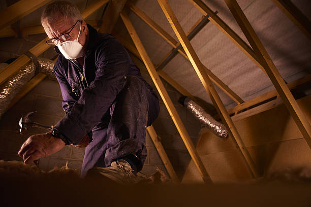 Best Insulation Maintenance and Repair in Forreston, IL