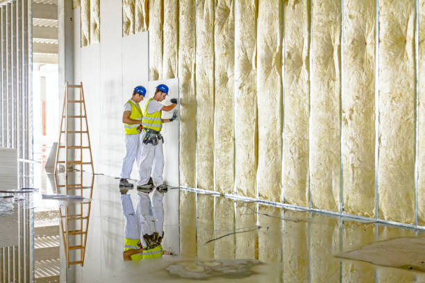 Best Residential Insulation in Forreston, IL